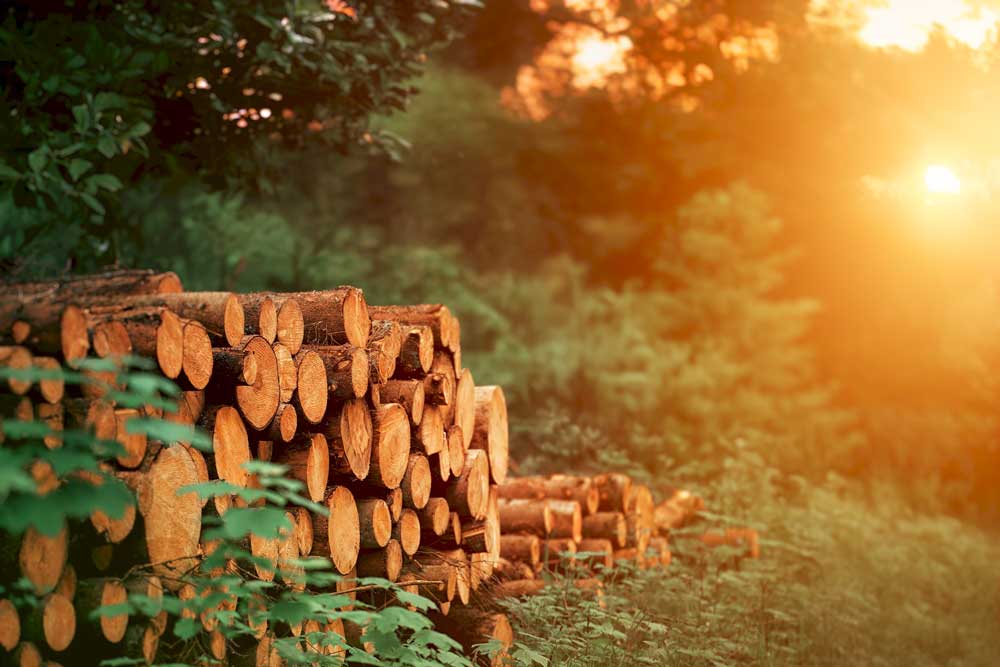 Licenciamento Ambiental GRAPROHAB – Piedade SP